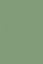 FARROW AND BALL BREAKFAST ROOM GREEN NO. 81 PAINT